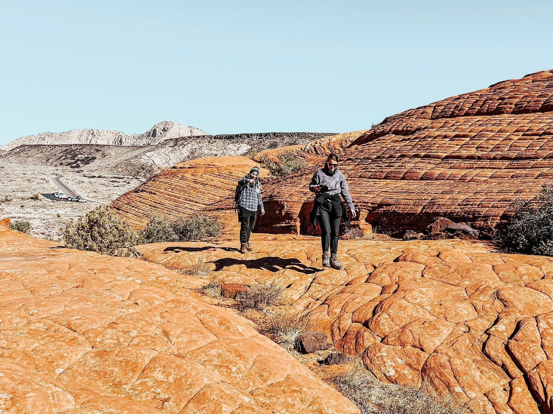 1-Day Guide to Snow Canyon State Park